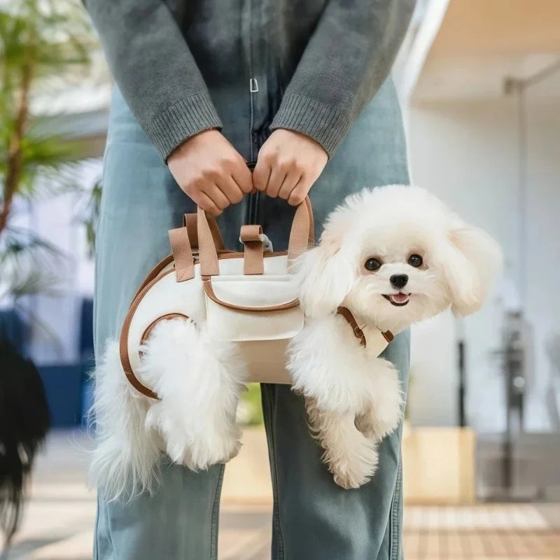 Dog Harness with Backpack & Leash – All-in-One Walking Set