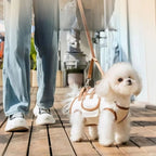 Dog Harness with Backpack & Leash – All-in-One Walking Set