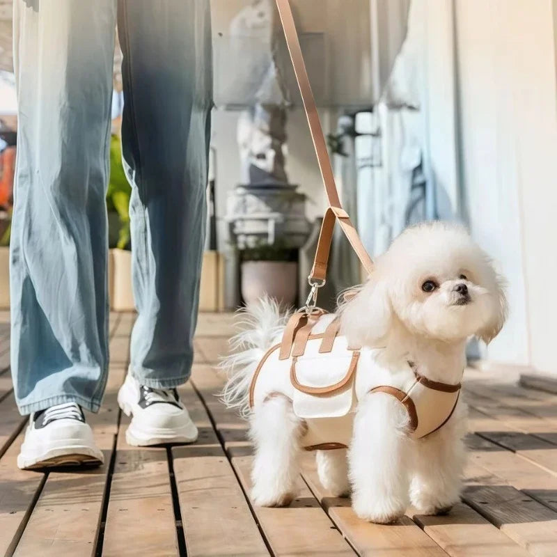 Dog Harness with Backpack & Leash – All-in-One Walking Set