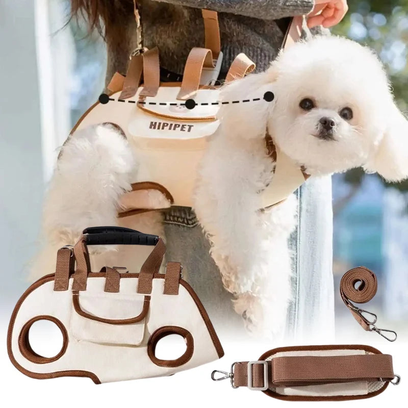 Dog Harness with Backpack & Leash – All-in-One Walking Set