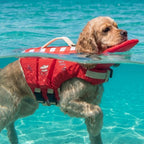 Dog Life Jacket – Safety Vest with Head Support & Rescue Handle