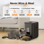 Automatic Pet Feeder – Timed Smart Food Dispenser for Cats & Dogs